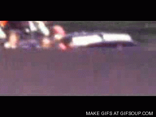 giphy.gif