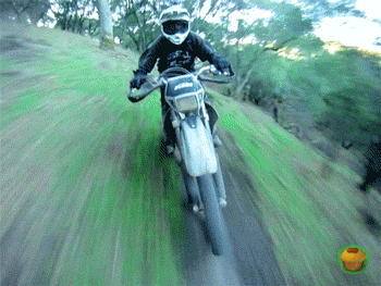 Motorcycle GIF - Find & Share on GIPHY