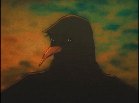 That Dancing Bird Video