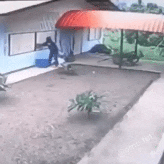 Not a bright thief in funny gifs
