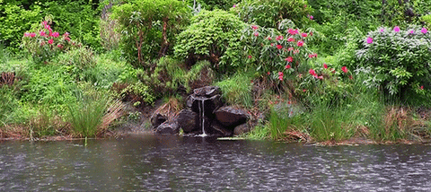 Day River GIF - Find & Share on GIPHY