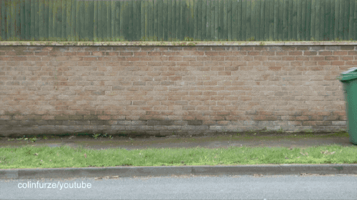 Garbage Bin GIF - Find & Share on GIPHY