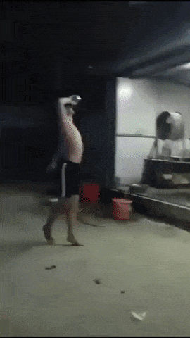 The real drunken master in funny gifs