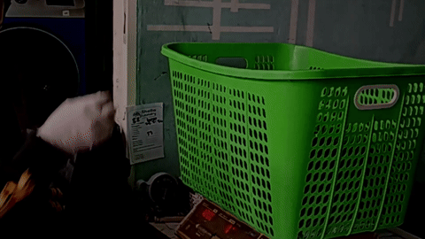 Fast laundry washing and drying service