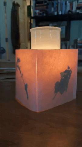 GIF of a lit candle flickering inside a waxed paper luminaria/candle shade. The candle is ensconced between two panels of waxed paper that glow orange-pink and cast a purpleish silhouette over two pressed wildflowers sealed within the waxed paper panels.