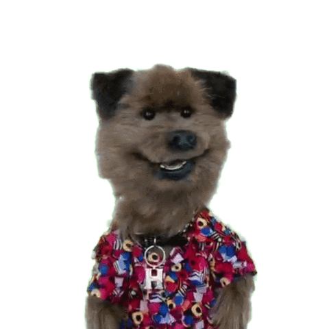 Confused Hacker T Dog Sticker by CBBC for iOS &amp; Android | GIPHY