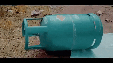 giphy.gif