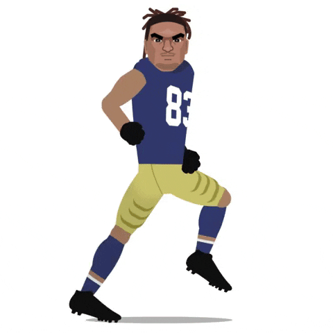 Pittsburgh Steelers Football GIF by SportsManias