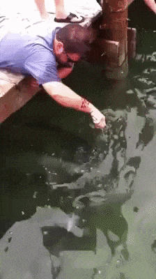 Catching fish like a boss in wow gifs