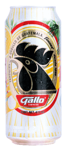 Beer Fiesta Sticker by Cerveza Gallo for iOS & Android | GIPHY