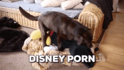 Disney Dog Porn - Disney GIF - Find & Share on GIPHY