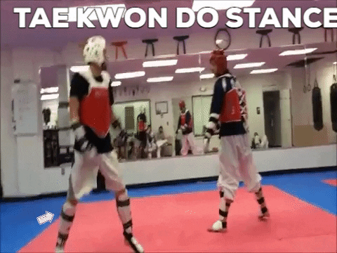 tae kwon do narrow stance gif