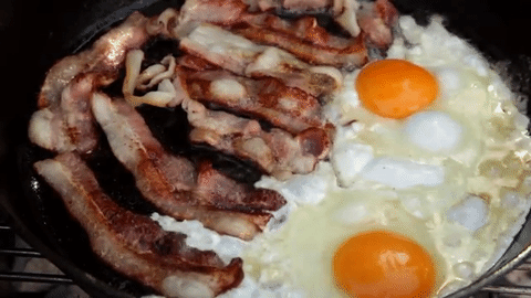 Egg Sandwich GIF - Find & Share on GIPHY