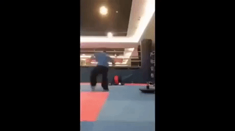 The fight back in funny gifs