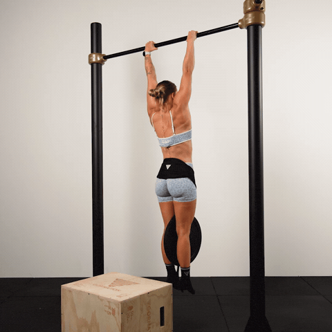 Weighted Scapula Pull Ups demonstration