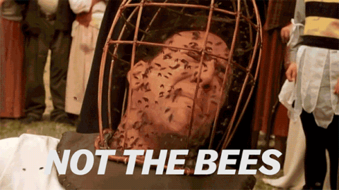 arılar sokar mı, arılar neden sokar