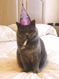 kitty with party hat, blowing on a streamer thingy