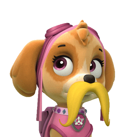 sky mighty pup
