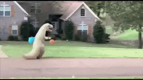 Jurassic park live in funny gifs