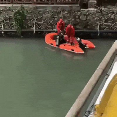 Dive to bottom in funny gifs