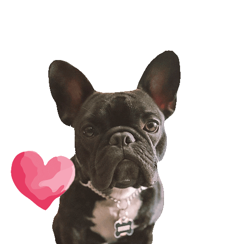Buddy Love Sticker for iOS & Android | GIPHY