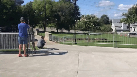 giphy.gif