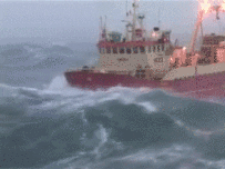 Sea GIF - Find & Share on GIPHY