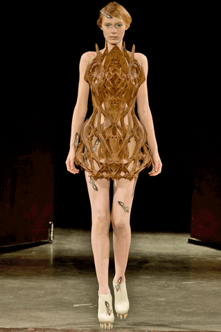 Wooden Dress GIFs Get The Best GIF On GIPHY