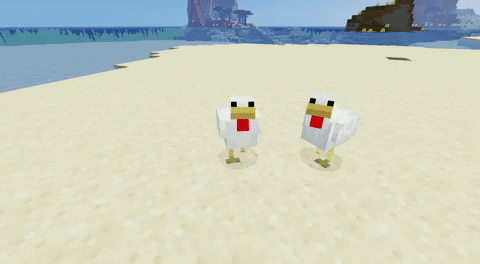 Breeding Chicken in Minecraft