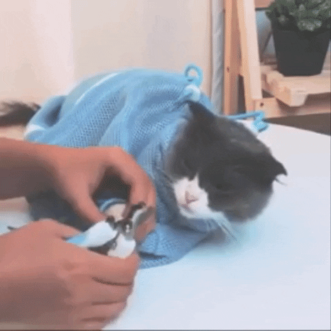 giphy Pet Grooming Bath Bag