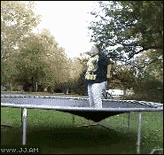 Trampoline Fail GIF - Find & Share on GIPHY
