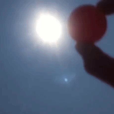 Solar Eclipse For You in funny gifs