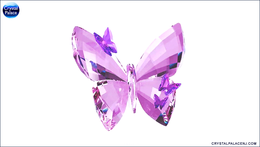 Butterfly GIF Overlay
