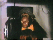 80S Monkey GIF