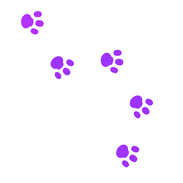 Cat People Sticker for iOS & Android GIPHY