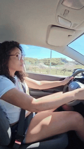 viajar de carro no estado do rio de janeiro
