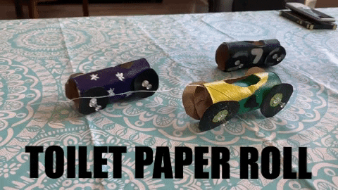 Toilet Paper Roll Race Car Craft