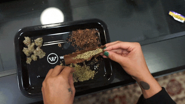 filling a blunt wrap with cannabis