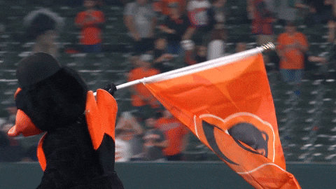 Baltimore Orioles GIF