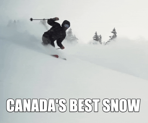 Snow Canada GIF by Sunshine Village - Find & Share on GIPHY