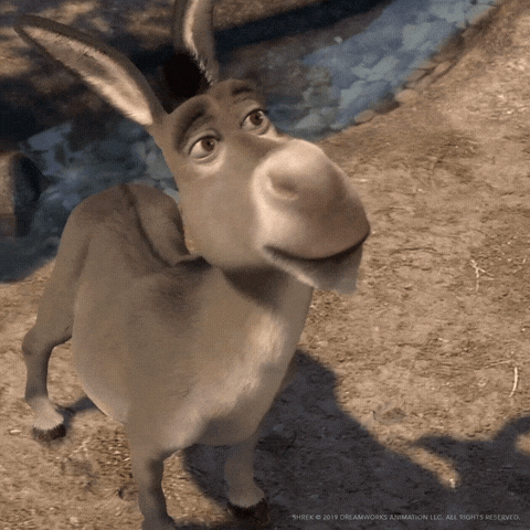 giphy.gif?cid=790b76113530bc61538bacba7e