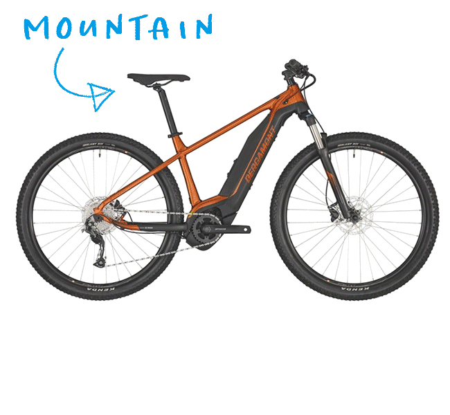 Bergamont