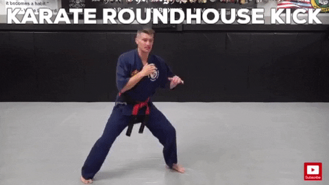 karate roundhouse kick gif