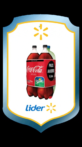 Lider Chile GIF