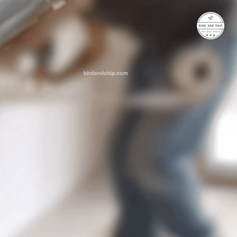 Animated GIF