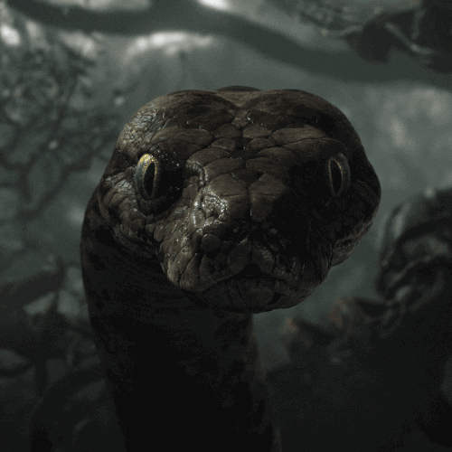 Kaa The Snake GIFs - Get the best GIF on GIPHY