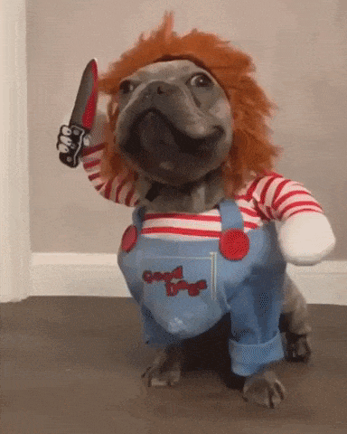 Best doggo costume ever in funny gifs