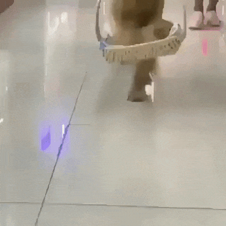 Best parents day ever in funny gifs