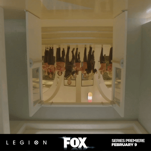 Fox GIFs - Find & Share on GIPHY
