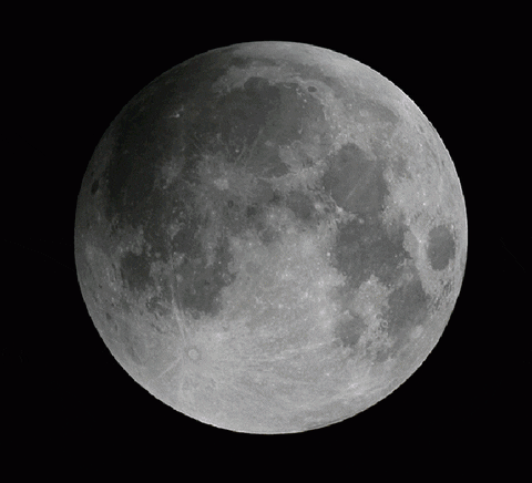 Morsetto A C Eclipse 150mm - Punte Normali Con Bloccaggio Per Officina